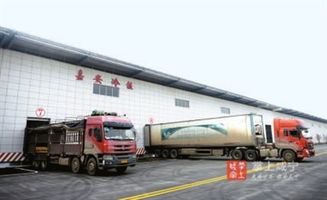 嘉魚縣嘉安物流園 冷鏈配送驅(qū)動(dòng)下的現(xiàn)代物流新篇章